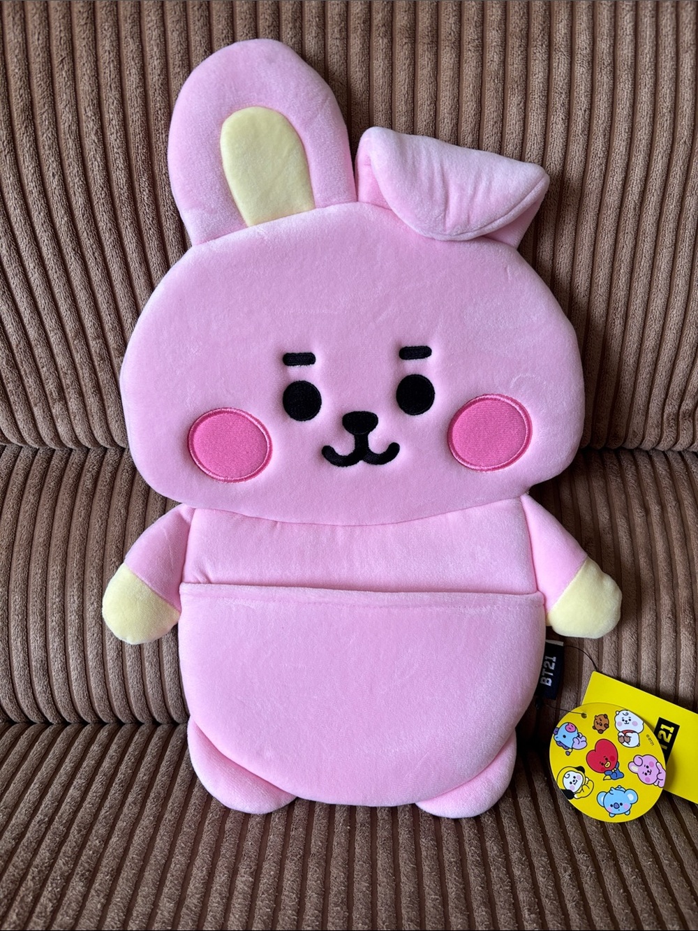 BT21 hanging wall decor with pitch In front